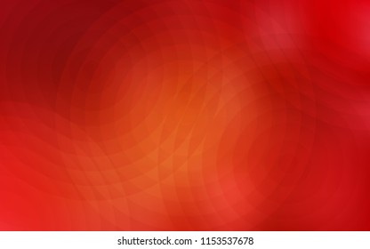 Light Orange vector cover with spots. Abstract illustration with colored bubbles in nature style. Pattern can be used as texture of wallpapers.