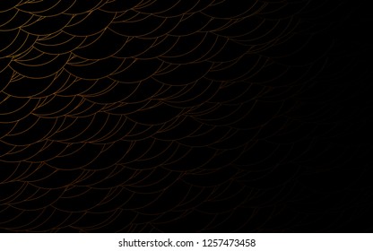 Light Orange vector  cover with spots. Blurred bubbles on abstract background with colorful gradient. The pattern can be used for beautiful websites.