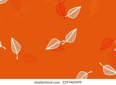 Diseño del doodle vectorial de naranja claro. Diseño decorativo y elegante en estilo natural con hojas. Nueva plantilla para tu libro de marcas.
