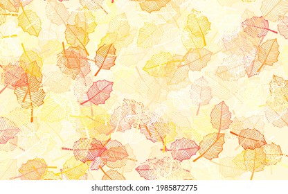 Light Orange vector doodle pattern with leaves. Brand new colored illustration with leaves and flowers. A new texture for your wallpaper design.