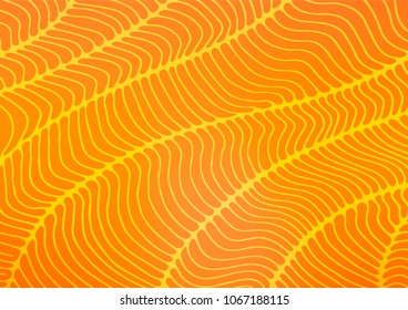 Light Orange vector indian curved background. Modern geometrical abstract illustration with doodles. A completely new template for your business design.