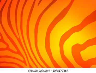 Light Orange vector indian curved template. An elegant bright illustration with lines in Natural style. The textured pattern can be used for website.
