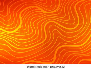 Light Orange vector indian curved background. An elegant bright illustration with lines in Natural style. A completely new template for your business design.
