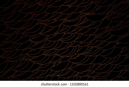 Light Orange vector  layout with circle shapes. Illustration with set of shining colorful abstract circles. Completely new template for your brand book.