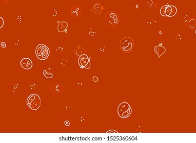 Light Orange vector layout with restaurant food. Glitter abstract sketch with gourmet food. Pattern for menu of cafes, bars, restaurants.