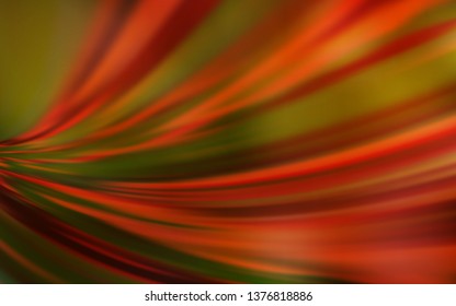 Light Orange vector modern elegant backdrop. Shining colored illustration in smart style. Blurred design for your web site.