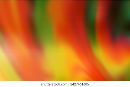 Light Orange vector modern elegant background. Glitter abstract illustration with gradient design. Blurred design for your web site.