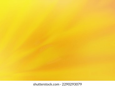Vector de naranja claro de fondo moderno y elegante. Ilustración abstracta colorida con gradiente. Una nueva textura para tu diseño.