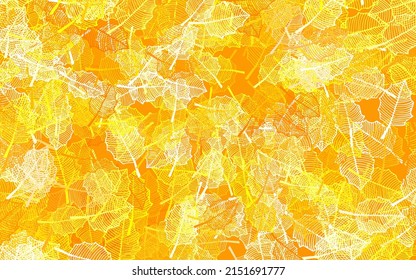 Light Orange vector natural backdrop with leaves. Colorful illustration in doodle style with leaves, flowers. Doodle design for your web site.