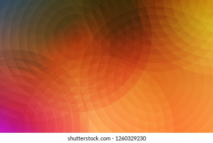 Light Orange vector pattern with spheres. Beautiful colored illustration with blurred circles in nature style. Beautiful design for your business advert.