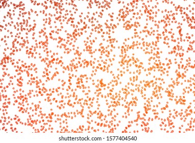 Light Orange vector pattern with spheres. Abstract illustration with colored bubbles in nature style. Template for your brand book.