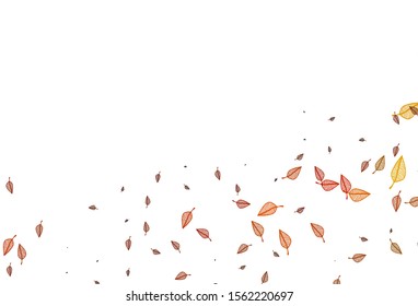 Light Orange vector sketch cover. Smart decorative design in natural style with leaves. Brand new style for your business design.