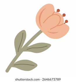 Light peach flower with rounded petals and pistils, soft spring vibe.