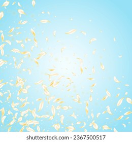 Fondo azul vectorial japonés de color claro. Diseño de Sakura de Mosca Amarilla. Fondo Floral Blanco. Banner De Caída De Flor De Oro. Ilustración De Belleza Blossom.