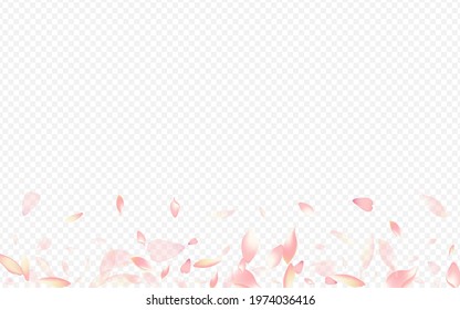 Light Peach Vector Transparent Background. Rosa Invitation Pattern. Floral Fly Cover. Blooming Tender Texture. Purple Cherry Garden Congratulation.