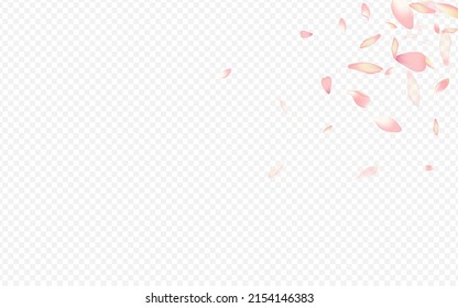 Light Peach Vector Transparent Background. Confetti Japan Poster. Leaf Marriage Design. Flower Valentine Card. Red Heart Romance Template.