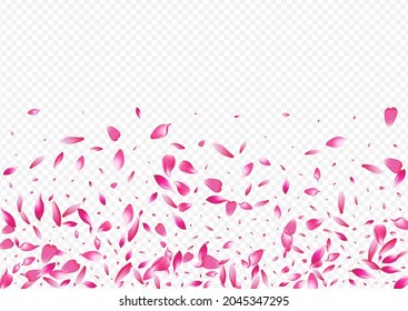 Light Petal Vector Transparent Background. Floral Soft Congratulation. Rose Sky Texture. Apple Blow Illustration. White Cherry Romance Template.