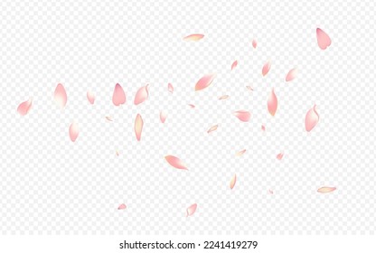 Light Petal Vector Transparent Background. Blossom Blur Pattern. Lotus Realistic Poster. Confetti Fly Cover. Red Sakura Graphic Texture.