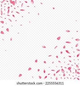 Light Petal Vector Transparent Background. Apple Blow Pattern. Flower Romantic Poster. Blooming Springtime Design. Red Lotus Graphic Banner.
