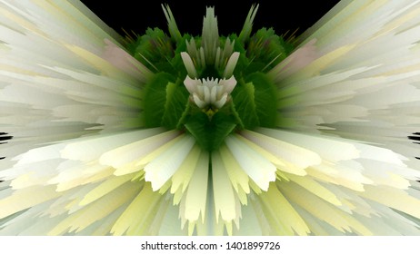 light petals floral symmetrical background