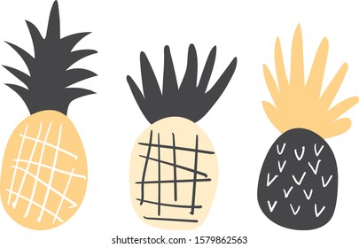 Light pineapples set on white background vector illustration hand draw desing