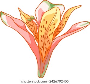 Light Pink Alstroemeria (Lily) Flower Vector Clip Art Illustration