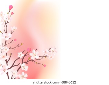Light pink background with branch of blossoming tree