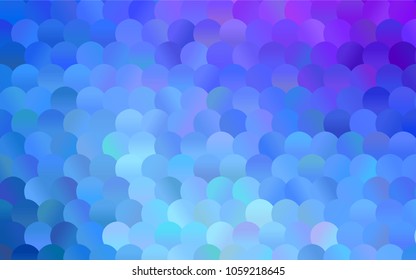 Light Pink, Blue vector abstract pattern with circles. Geometry template for your business design. Background with colored spheres.
