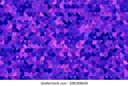 Light Pink, Blue vector abstract pattern with circles. Geometry template for your business design. Background with colored spheres.