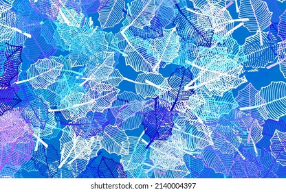 Light Pink, Blue vector doodle template with leaves. Abstract illustration with leaves, flowers in doodles style. Doodle design for your web site.