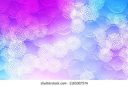 Light Pink, Blue vector natural abstract template. flowers on elegant natural pattern with gradient. Brand-new design for your business.