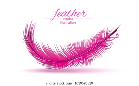 Light pink feather isolated on white background. Vector illustration