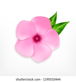 Light pink flower with green leaves. Vector icon.EPS10