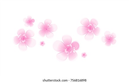 Light Pink flowers isolated on White background. Apple-tree flowers. Cherry blossom. Vector EPS 10 cmyk