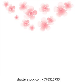 Light Pink flowers isolated on White background. Apple-tree flowers. Cherry blossom. Vector EPS 10 cmyk