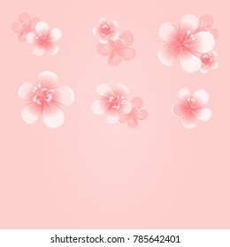 Light Pink flowers isolated on Pink Peach background. Apple-tree flowers. Cherry blossom. Vector EPS 10 cmyk