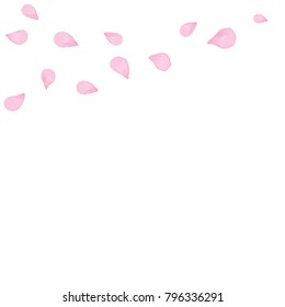 Light Pink flying petals isolated on white background. Sakura Roses petals. Vector EPS 10 cmyk