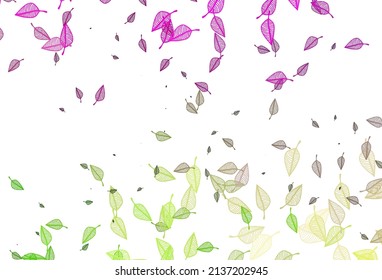 Light Pink, Green vector sketch background. Modern geometrical abstract illustration with leaves. Pattern for wallpapers and coloring books.