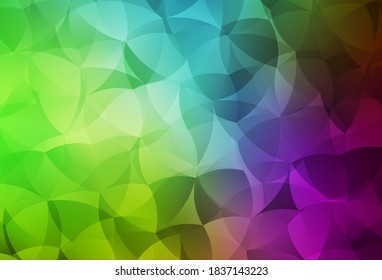 Color rosa claro, textura vectorial verde con formas abstractas. Ilustración abstracta moderna con formas aleatorias coloridas. Diseño sencillo para su sitio web.