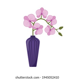 Light pink orchid in vase, vector illustration