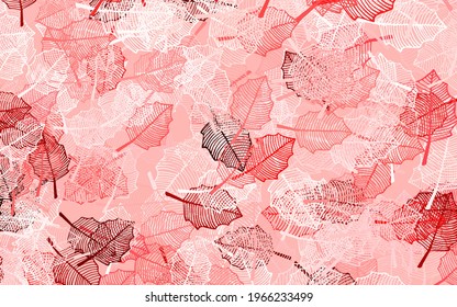 Light Pink, Red vector doodle pattern with leaves. Leaves and flowers with gradient on white background. New template for your brand book.