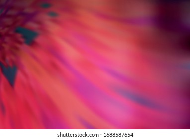 Light Pink, Red vector modern elegant layout. Abstract colorful illustration with gradient. Smart design for your work.