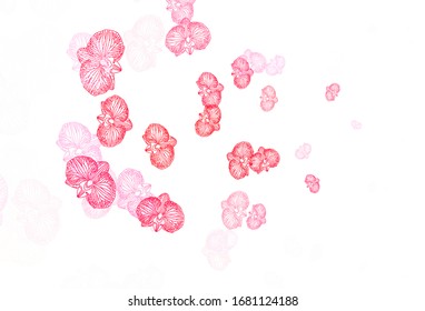 Light Pink, Red vector natural background with flowers. Modern abstract illustration with flowers. Brand new style for your business design.