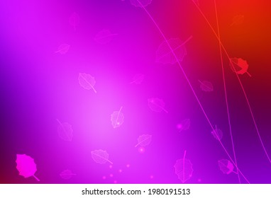 Light Pink, Red vector natural backdrop with trees, branches. Brand new colored illustration with flowers. A new texture for your wallpaper design.