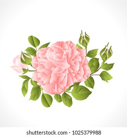 Light pink   rose with buds and leaves vintage  on a white background  vector illustration editable hand draw 
