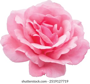 Motivo floral de Vector rosa claro