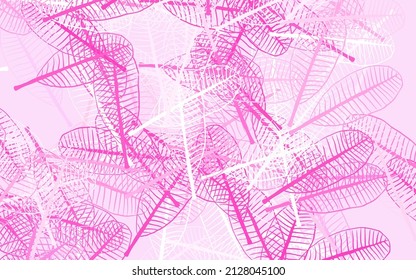 Light Pink vector abstract pattern with leaves. An elegant bright illustration with leaves in Natural style. A new texture for your wallpaper design.