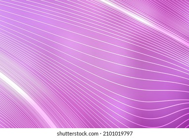 El vector rosa claro borroso brilla el fondo abstracto. Ilustración abstracta moderna con gradiente. Nueva forma de tu diseño.