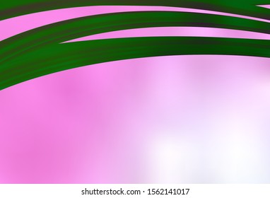 Light Pink vector colorful abstract texture. An elegant bright illustration with gradient. Background for designs.