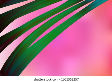 Light Pink vector colorful abstract background. A completely new colored illustration in blur style. Elegant background for a brand book.